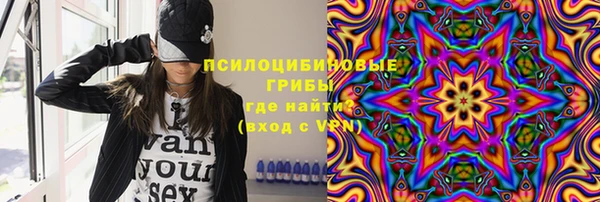 меф Белокуриха