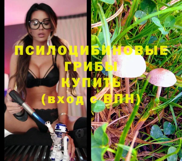 меф Белокуриха