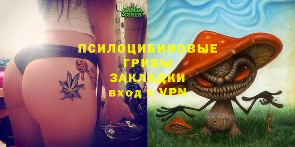 мдпв Беломорск