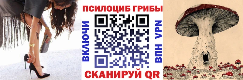 гидра маркетплейс  Кяхта  Псилоцибиновые грибы Psilocybe 